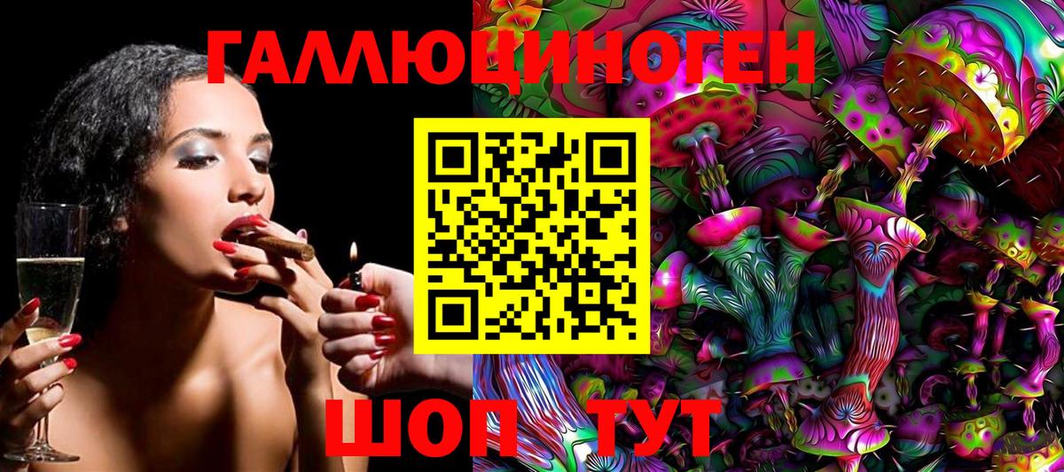 Псилоцибиновые грибы GOLDEN TEACHER Балашов