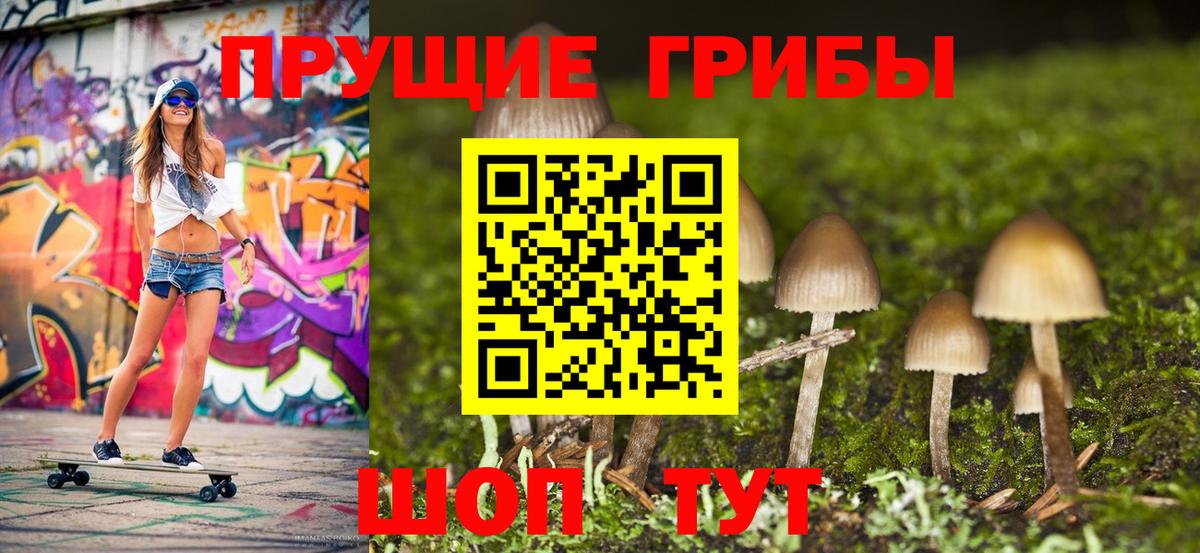 Галлюциногенные грибы прущие грибы  Вход с VPN  Псилоцибиновые грибы ЛСД  Балашов 